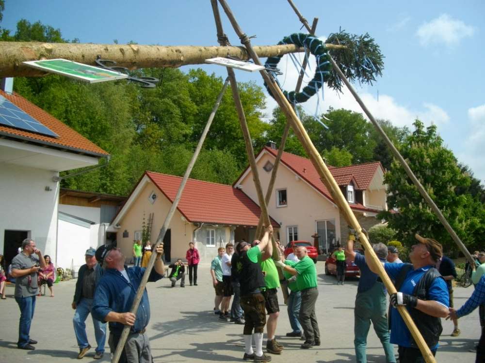 IMGP4868-1000